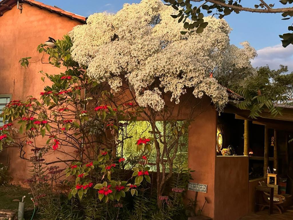 Pousada Refugio Da Serra Pirenópolis Kültér fotó